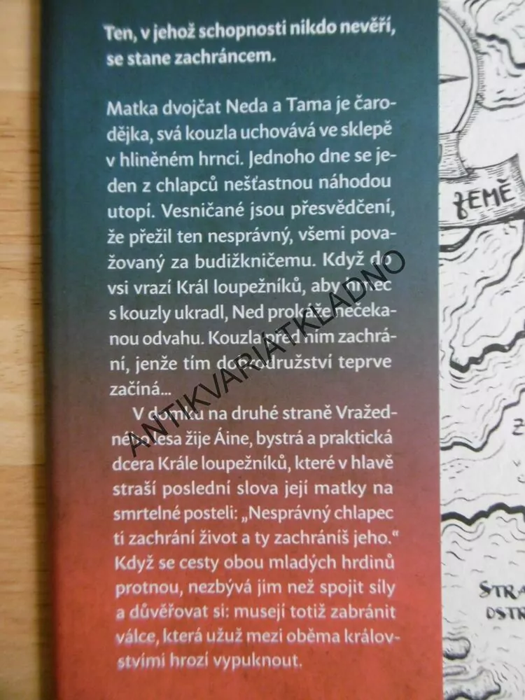 ČARODĚJČIN SYN, KELLY BARNHILLOVÁ, **an