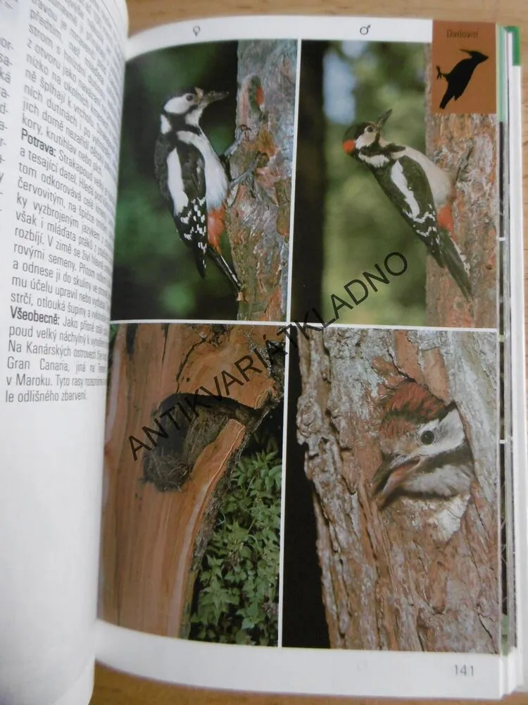 PTÁCI LESŮ, LUK A POLÍ, PRŮVODCE PŘÍRODOU