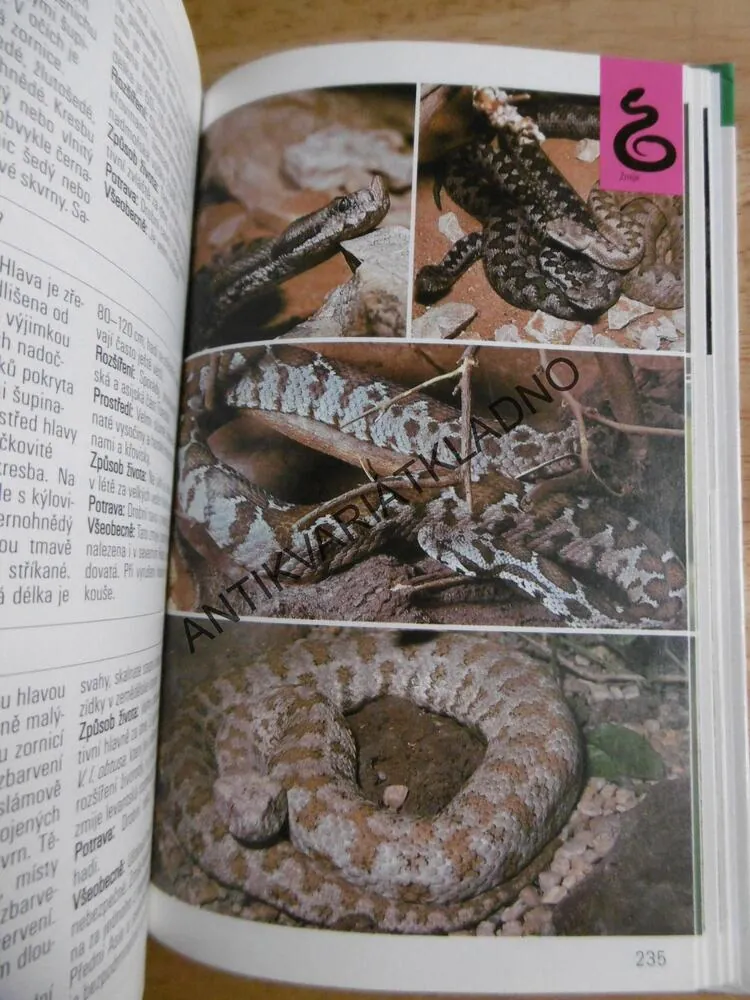 OBOJŽIVELNÍCI A PLAZI, PRŮVODCE PŘÍRODOU, **an