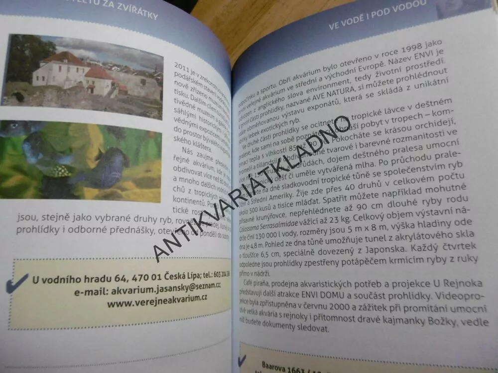 134 VÝLETŮ ZA ZVÍŘÁTKY, PRO CELOU RODINU, LENKA PECHAROVÁ, **an