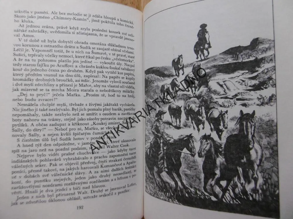 KOD 150- DĚVČE PRO OKLAHOMU, MIRKO PAŠEK, VRAŠTIL, **an