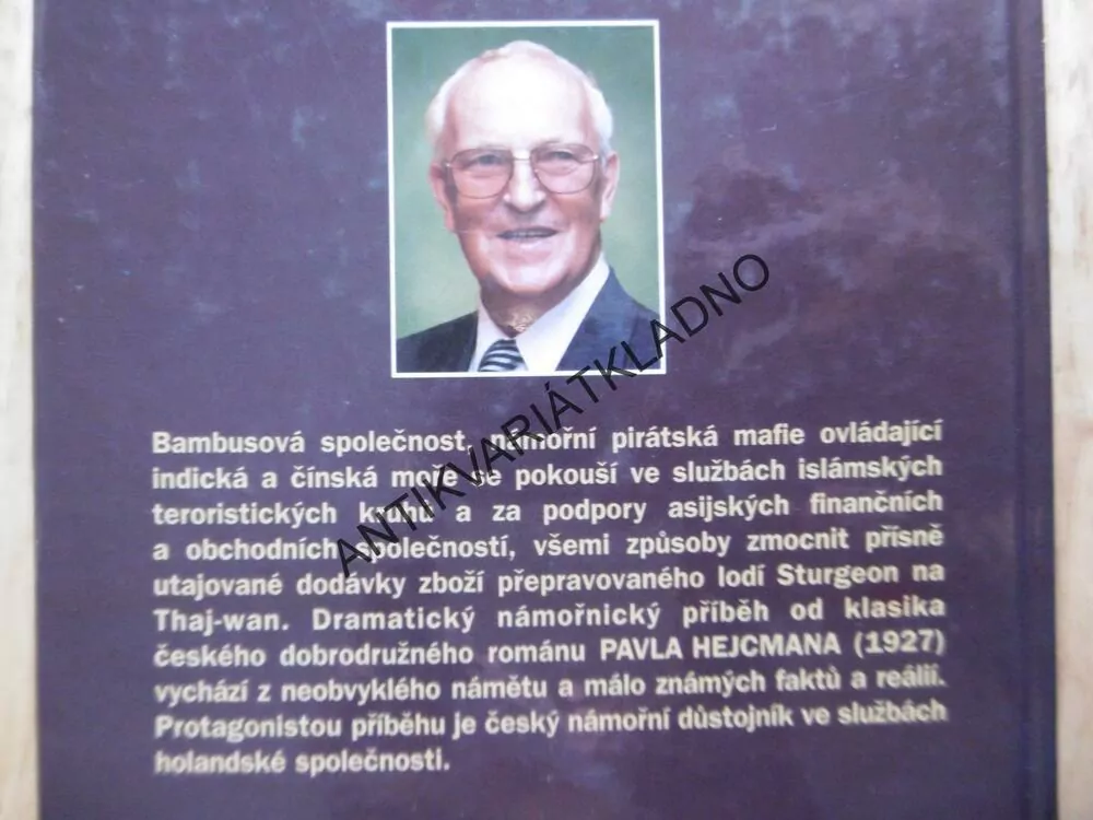 BAMBUSOVÁ SPOLEČNOST, PAVEL HEJCMAN, **an