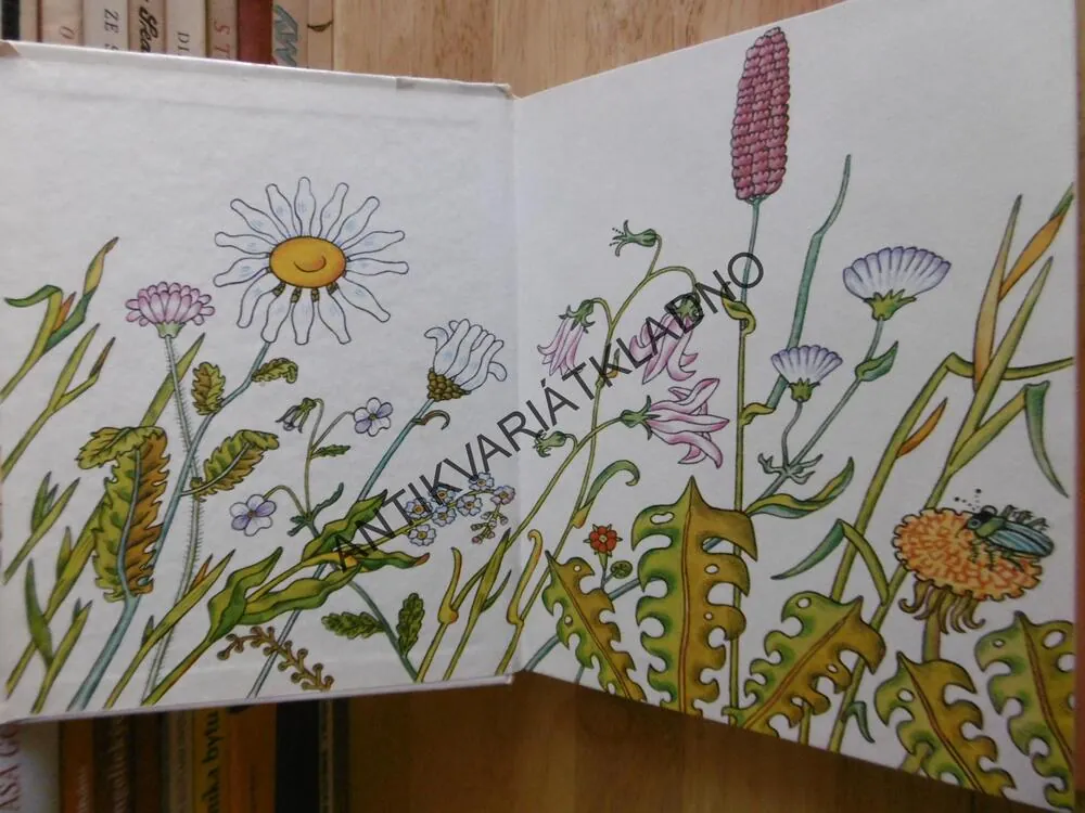 PRÁZDNINY U BABIČKY, EDITH UNNERSTADOVÁ, ZMATLÍKOVÁ, **an