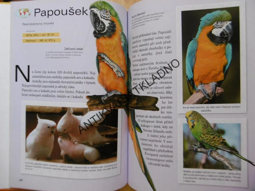 ZAJÍMAVOSTI ZE SVĚTA ZVÍŘAT, **an
