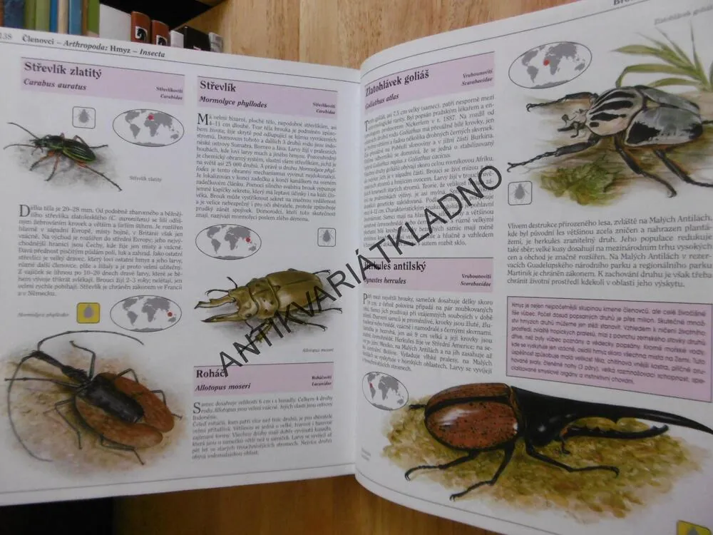SVĚT VZÁCNÝCH ZVÍŘAT NA PŘELOMU TISÍCILETÍ, KŮS, PFLEGER, KNOTEK, **an