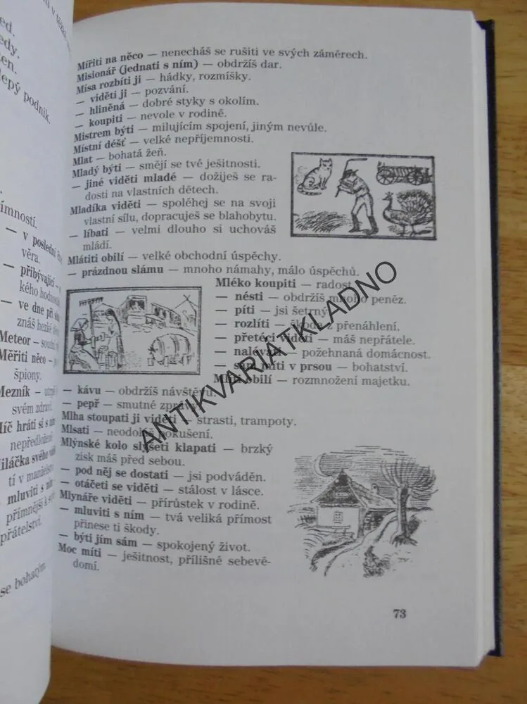 SNÁŘ, EGYPTSKO-PERSKO-CHALDEJSKÝ OBRÁZKOVÝ, MIKOLÁŠ ALEŠ