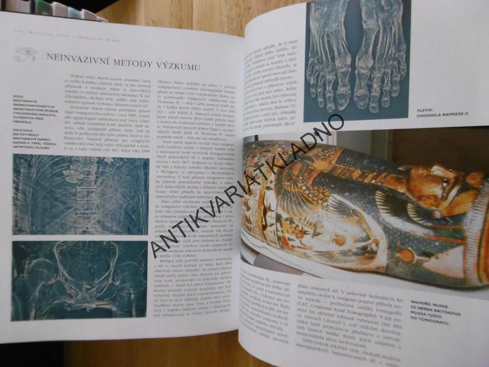 MUMIE, ODHALTE TAJEMSTVÍ EGYPTSKÝCH HROBEK, **an