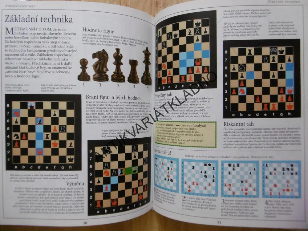 ŠACHY, PRAVIDLA, TECHNIKY, STRATEGIE, MICHAEL BASMAN