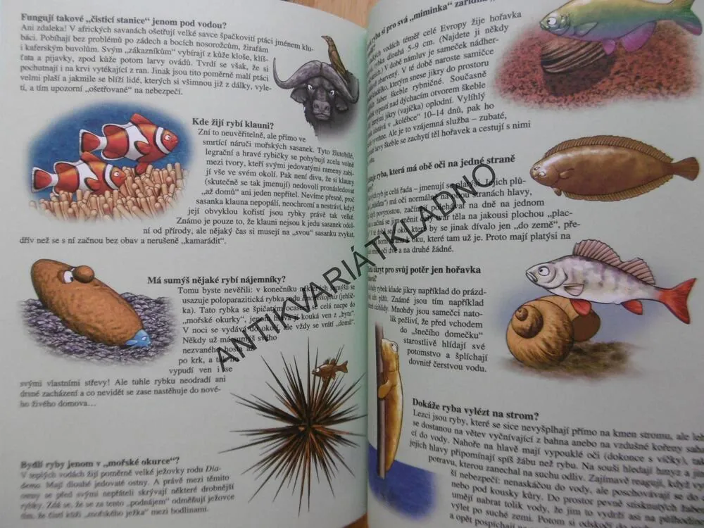VÍŠ JAK A PROČ? OTÁZKY A ODPOVĚDI PRO ZVÍDAVÉ DĚTI, **an