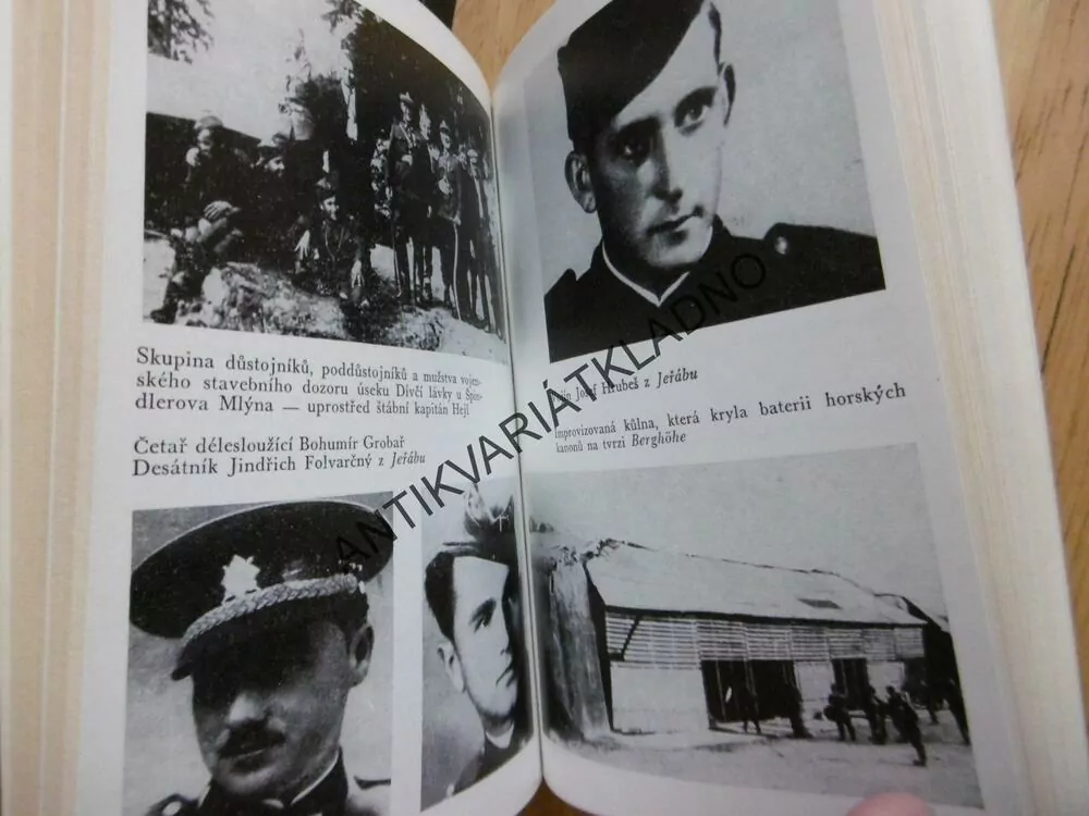 A VĚŽE MLČÍ.... OTA HOLUB, **an