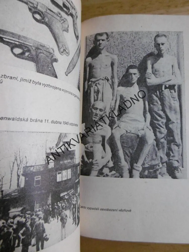 NIKDO NESMÍ PŘEŽÍT, MILOSLAV MOULIS, 1975