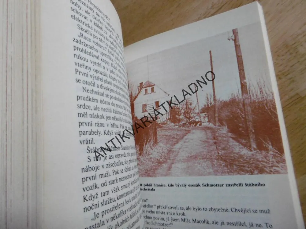 SMRT ZE ZÁLOHY, OTA HOLUB, **an