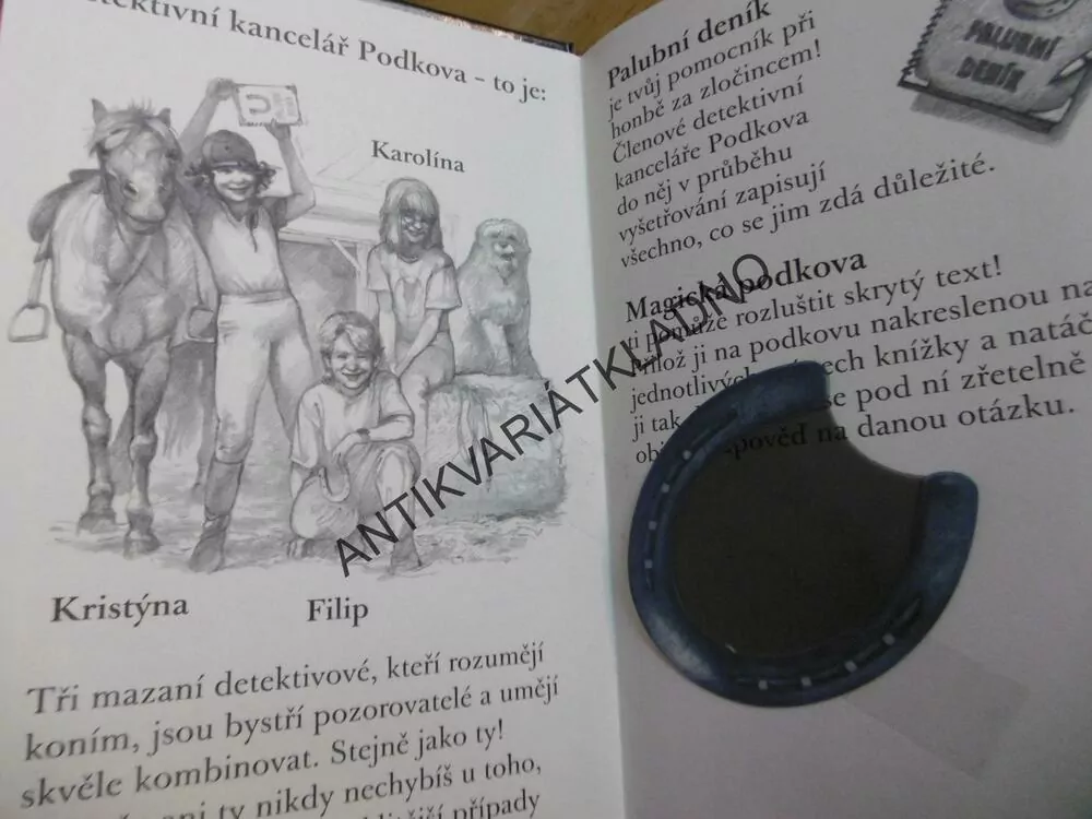 HON NA ZLODĚJE, KARIN MÜLLEROVÁ,KŮŇ, KONĚ, **an