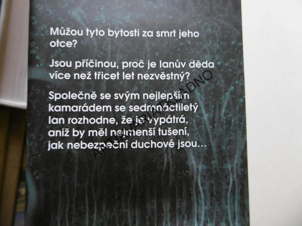 LOVEC DUCHŮ, DEREK MEISTER, SVĚTLO, KTERÉ ZABÍJÍ, **an