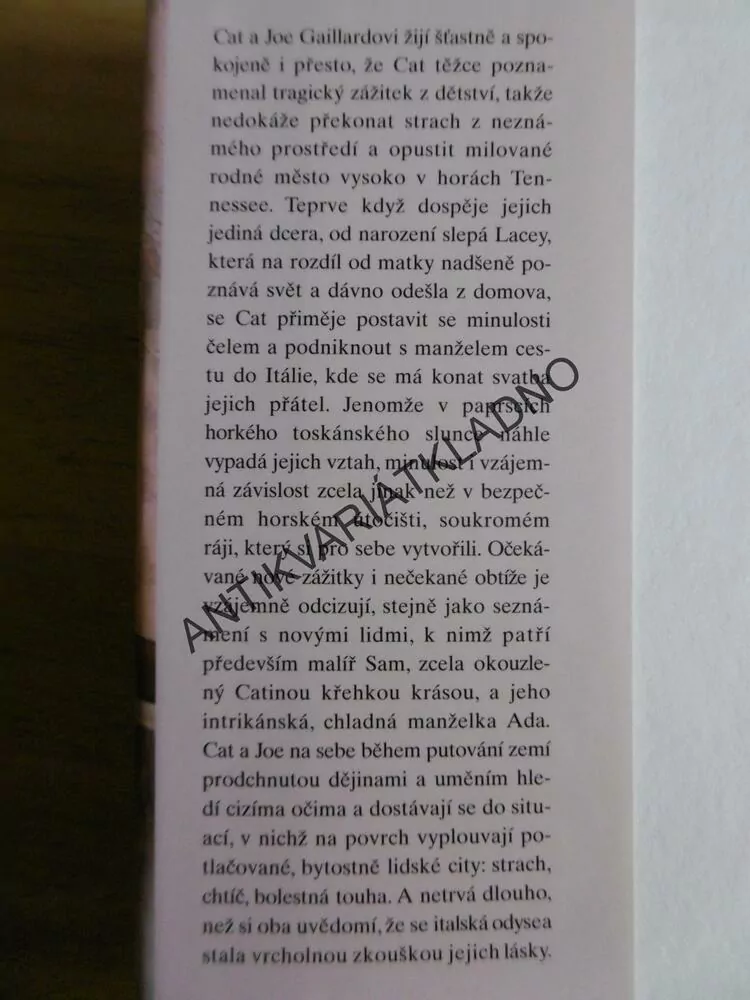 BEZPEČNÉ VÝŠINY, ANNE RIVERS SIDDONSOVÁ, **an