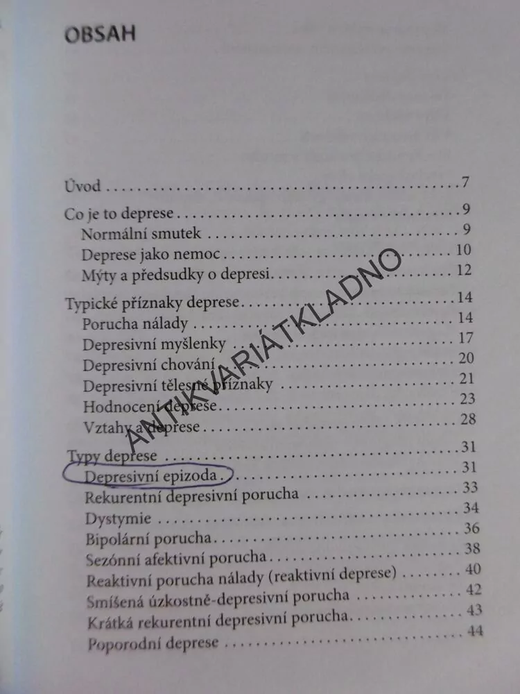 DEPRESIVNÍ PORUCHA A JAK JI PŘEKONAT, PRAŠKO, BULIKOVÁ,DEPRESE, PSYCHOLOGIE