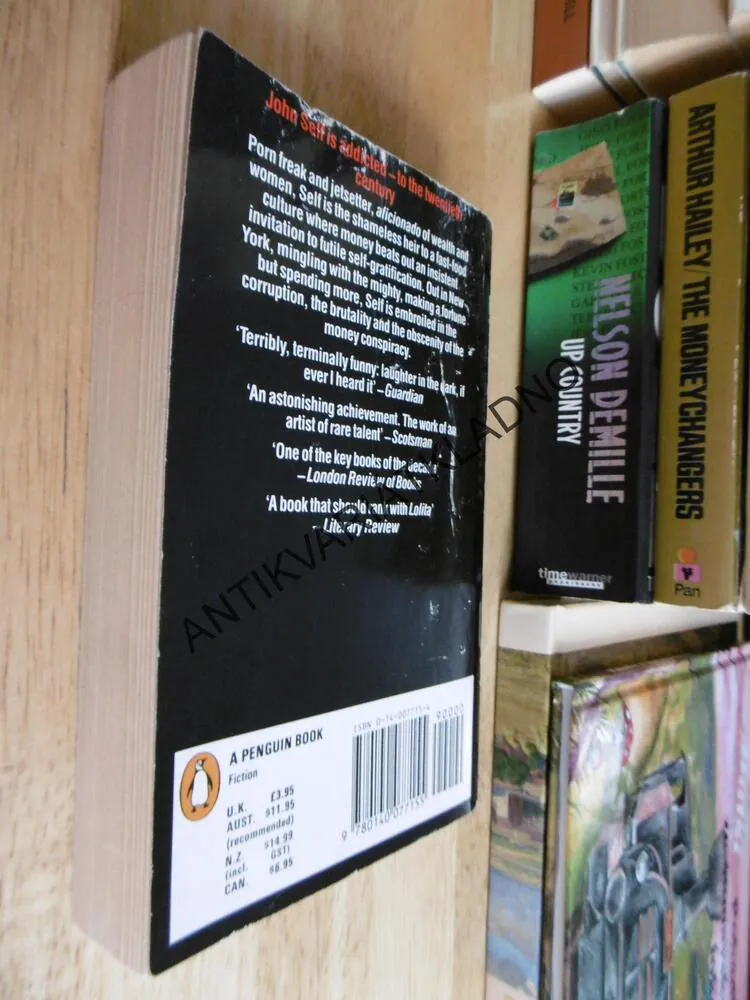 MONEY, MARTIN AMIS, ANGLICKY, **an