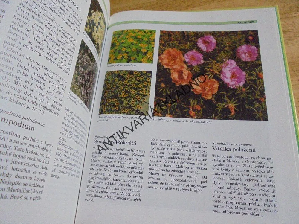 SKALKY, EFEKTNÍ USPOŘÁDÁNÍ A OŠETŘOVÁNÍ