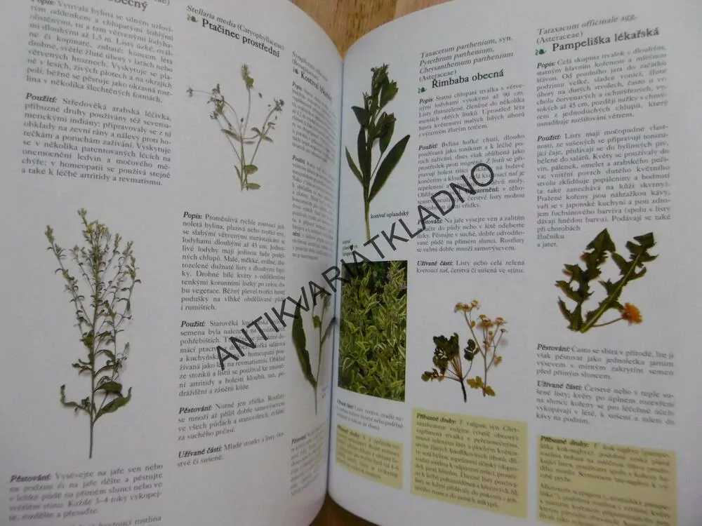 BYLINKY, OBRAZOVÁ ENCYKLOPEDIE, 