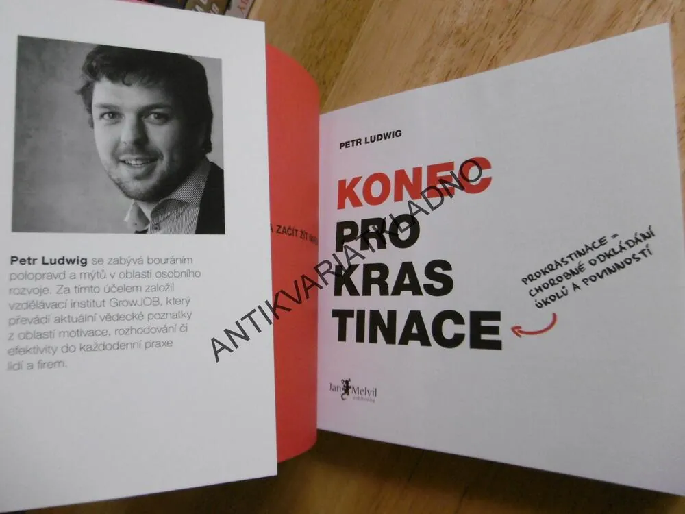 KONEC PROKRASTINACE, PETR LUDWIG, BESTSELLER, **an