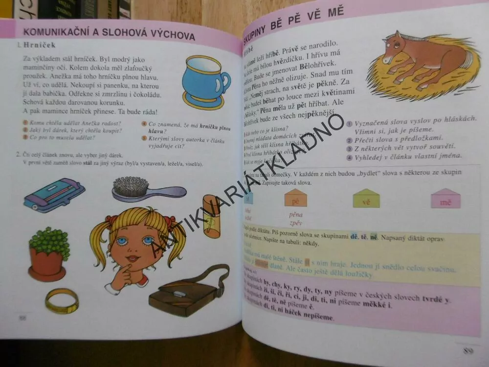 ČESKÝ JAZYK 2, Z. NOVÁKOVÁ, ŠVEJDOVÁ, 
