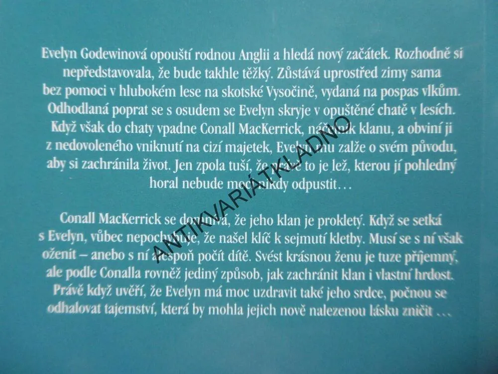 ZTRACENÝ SYN, HEATHER GROTHAUSOVÁ, **an