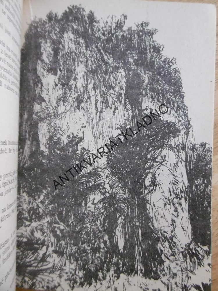 V KORDILLERÁCH, KAREL MAY,1975, GUSTAV KRUM, **an