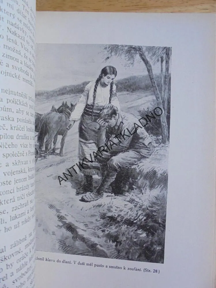 ZELENÝ KÁDR, J.PAVEL, ČUTTA 1927, VÁLKA, nesvázané