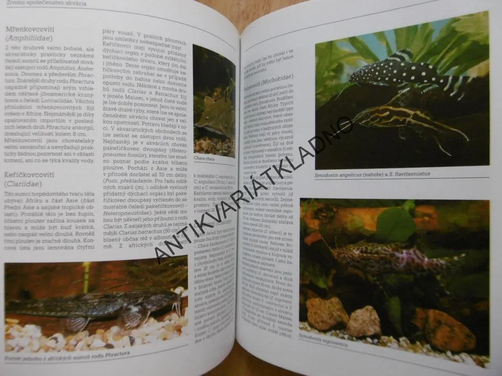 SLADKOVODNÍ AKVÁRIUM, HANS J. MAYLAND, **an