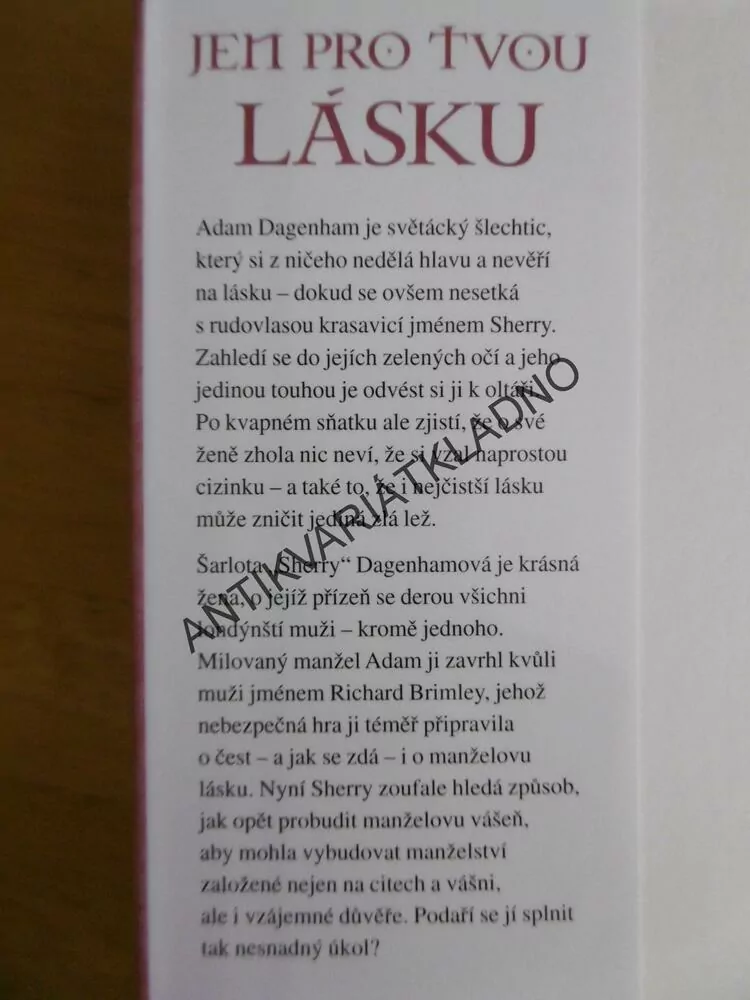 JEN PRO TVOU LÁSKU, KASEY MICHAELS, **an