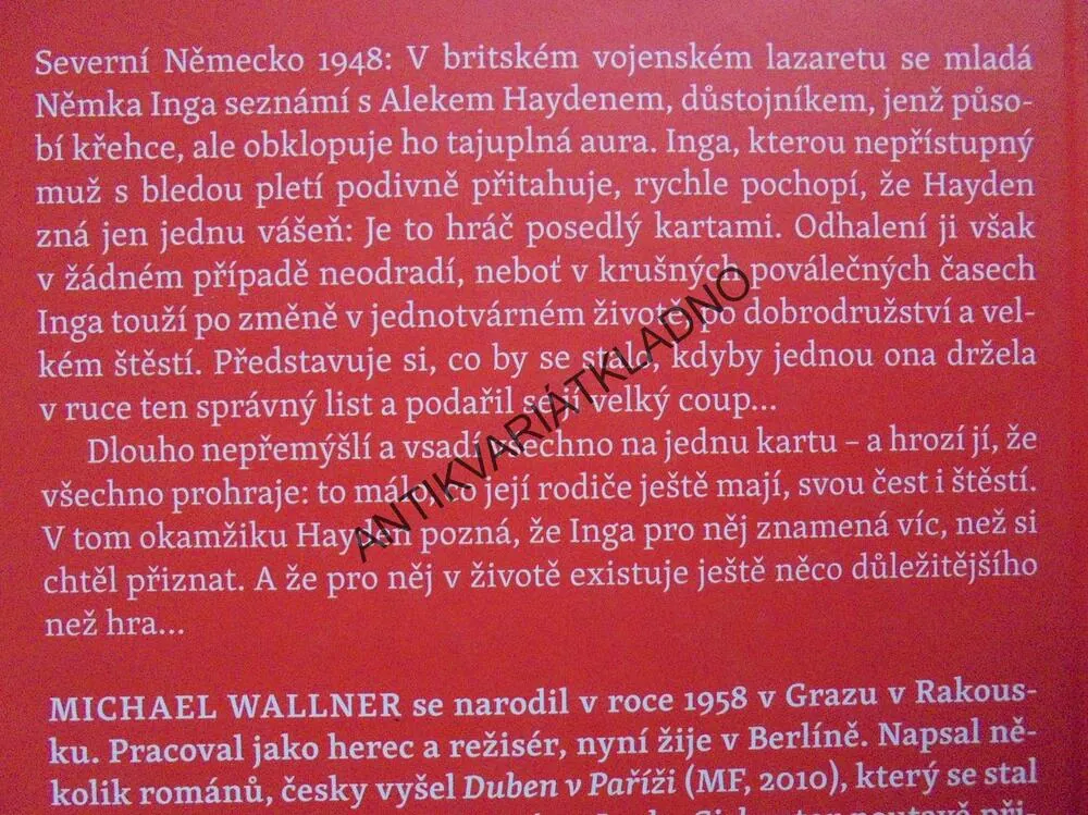 LUCKY GIRL, NEBEZPEČNÁ HRA S LÁSKOU, MICHAEL WALLNER,**an
