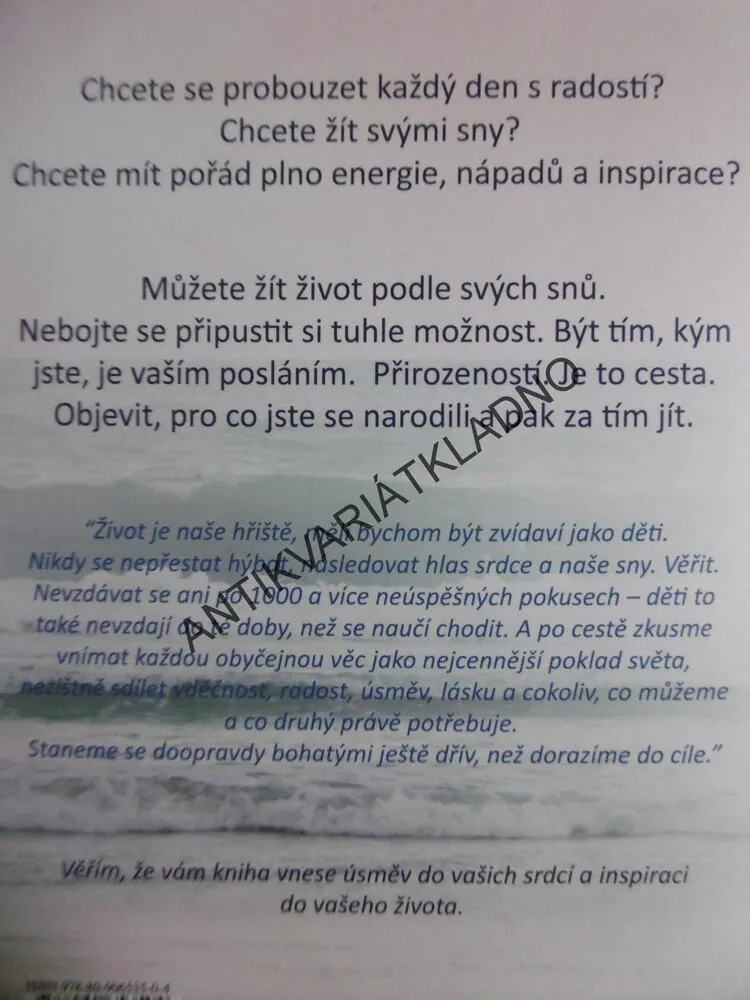 MŮŽEŠ VŠE, CO CHCEŠ, KATY YAKSHA, **an