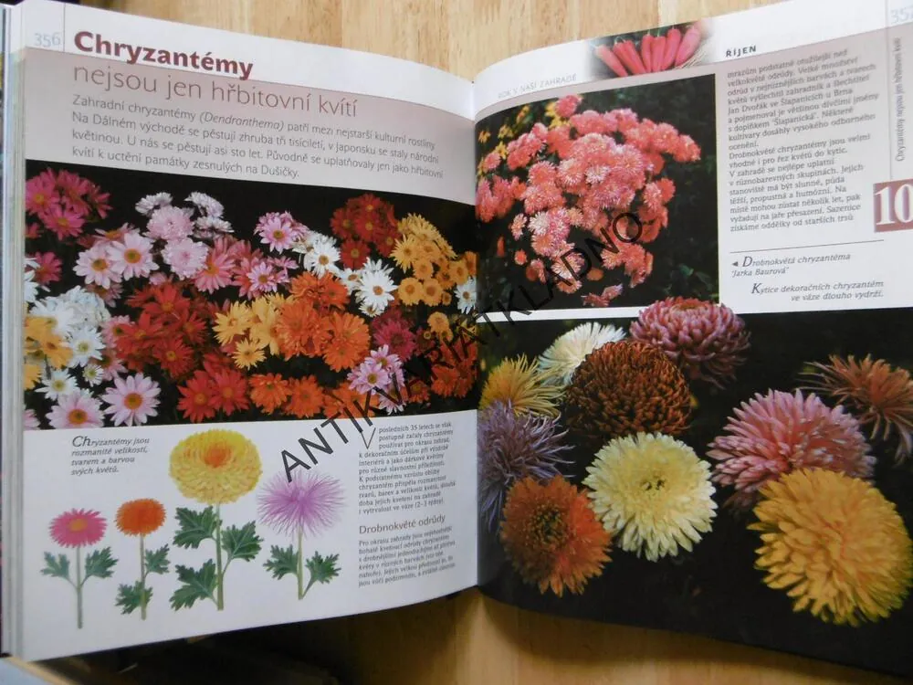 ROK V NAŠÍ ZAHRADĚ, RADOSLAV ŠROT, **an