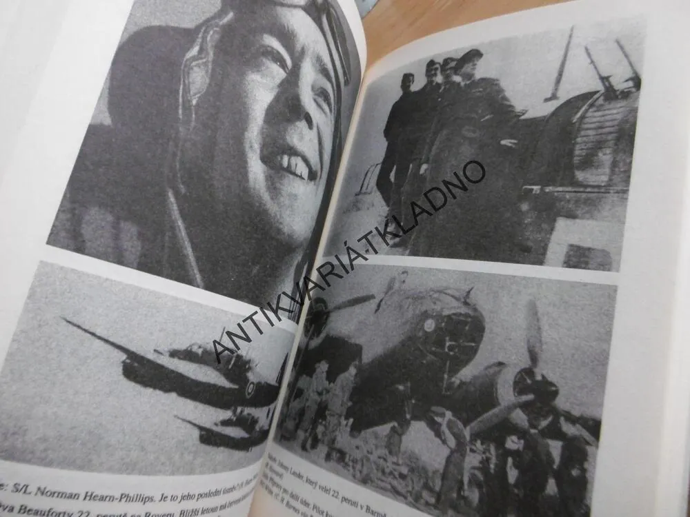 PROTI LODÍM A PŘÍSTAVŮM, PATRICK GIBBS, **an