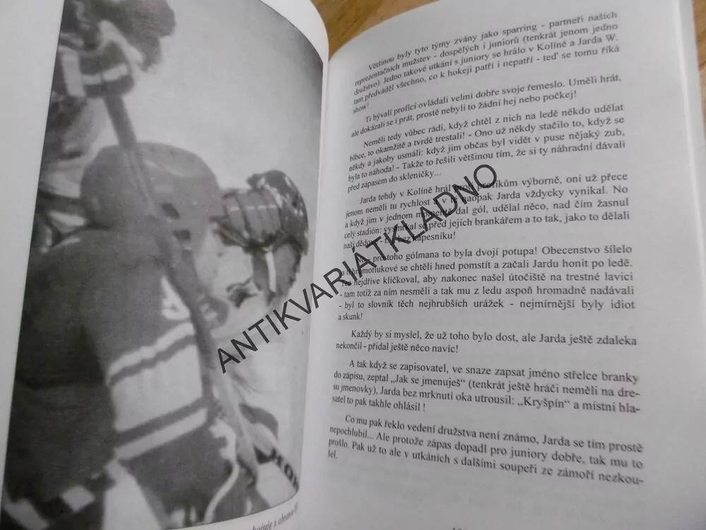 KAPITOLY Z DĚJIN LITVÍNOVSKÉHO HOKEJE, JOSEF HOLÝ, HC CHEMOPETROL LITVÍNOV