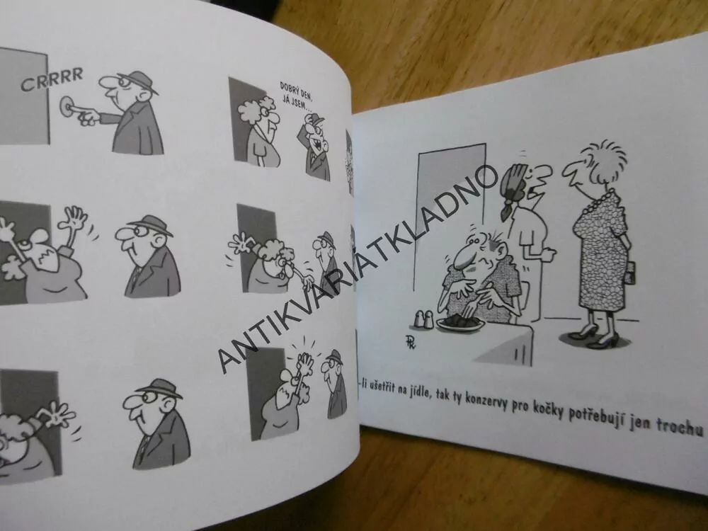 JAK PŘEŽÍT MANŽELSTVÍ, PAVEL KANTOREK, **an