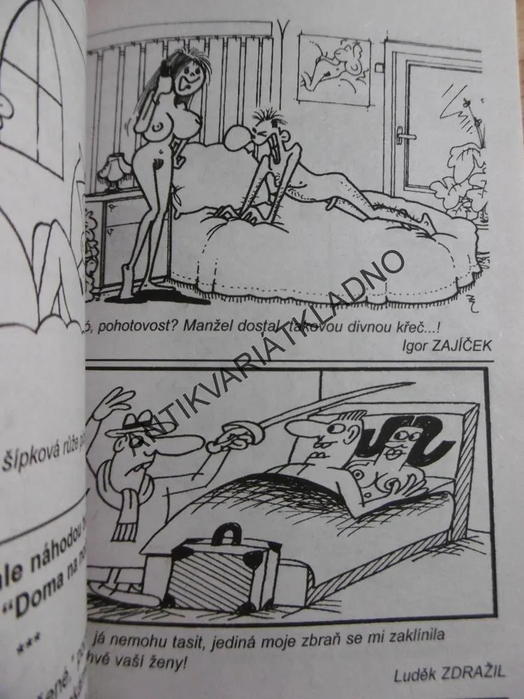 SRANDOKAPS, 43, SEXUÁLNÍ HARAŠENÍ, 2002