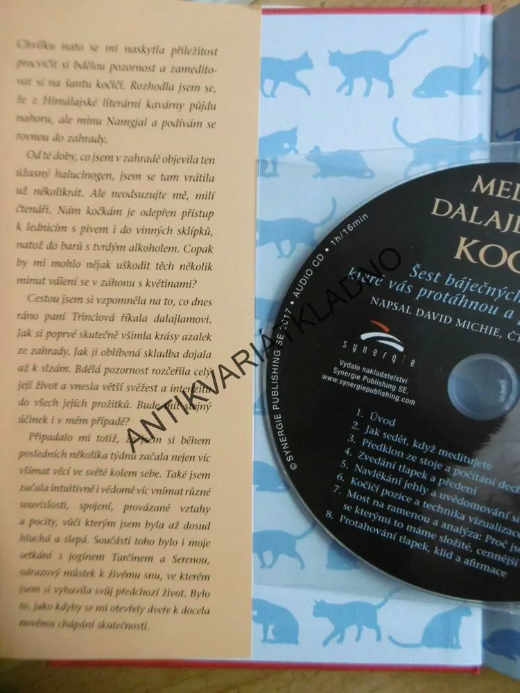DALAJLAMOVA KOČKA A SÍLA MEDITACE, DAVID MICHIE, **an