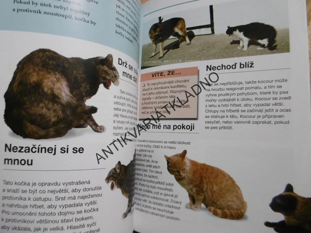 KOČKA A JEJÍ ŘEČ, VŠECHNO O TOM, JAK POROZUMĚT CHOVÁNÍ KOČKY, PAVLA KROUPOVÁ, GWEN BAILEY, **an