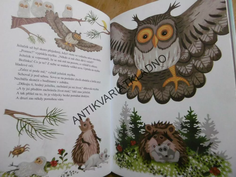 JEŽEČEK JDE DO SVĚTA, ULF STARK, STAHLBERG, **an