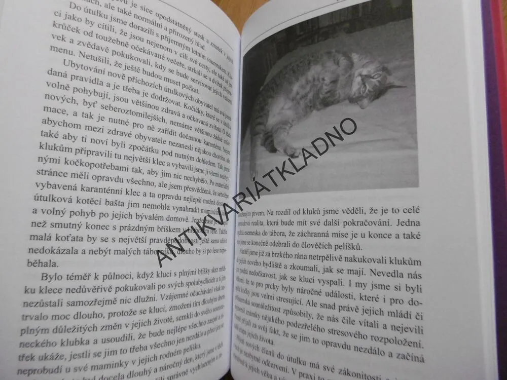 KOČIČÍ POVÍDÁNÍ ANEB JAK NÁM KOČKY DOVOLILY S NIMI BYDLET, ROMANA JUNKOVÁ, **an