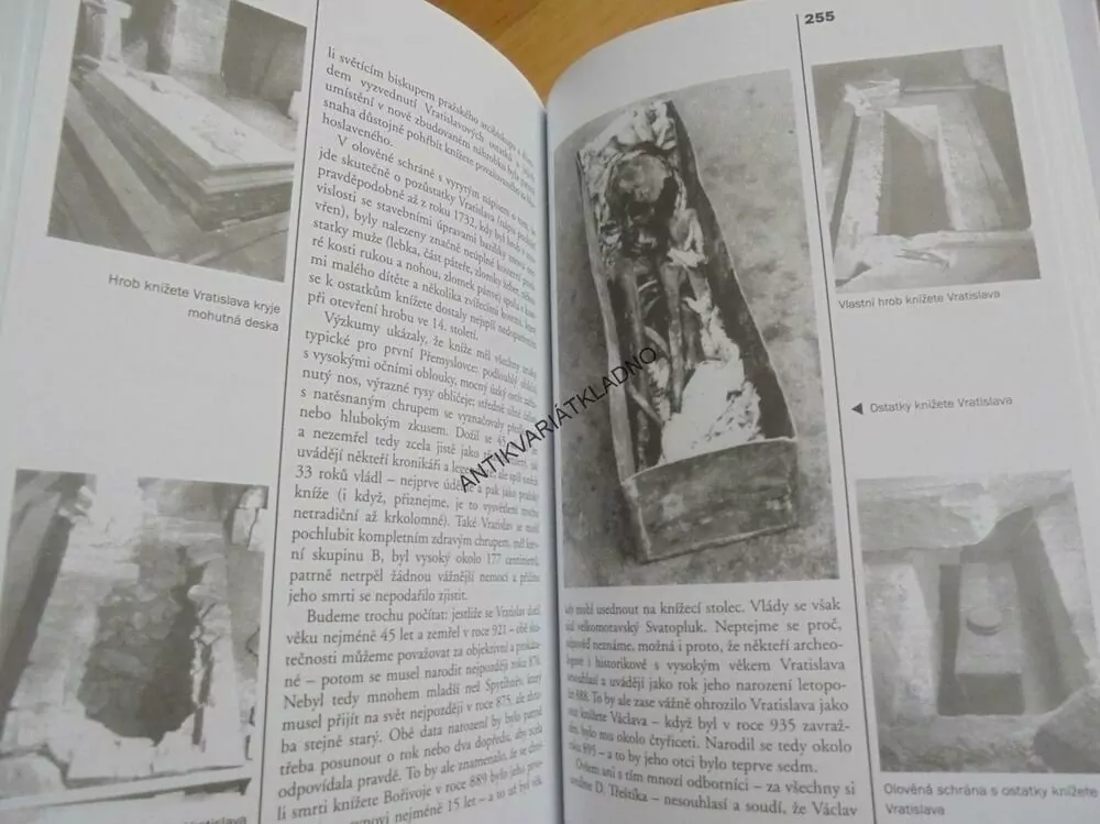 HÁDANKY NAŠÍ MINULOSTI, 3., BÍLEK, KRUTÁ SMRT ZBOŽNÉ BABIČKY,  **an