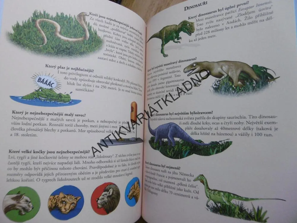 VELKÁ KNIHA REKORDŮ, CO JE NEJVĚTŠÍ, NEJRYCHLEJŠÍ, NEJDELŠÍ..., **an