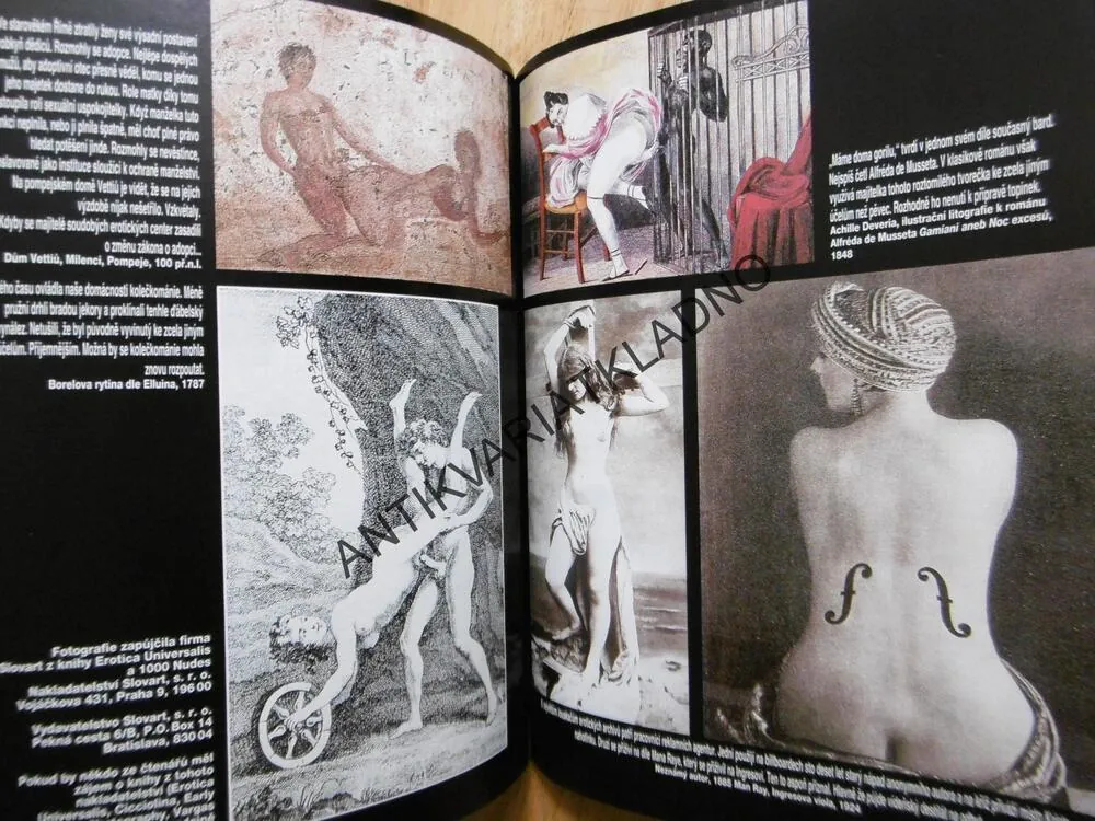 PENTHOUSE, 6/1995, ILONA CSÁKOVÁ