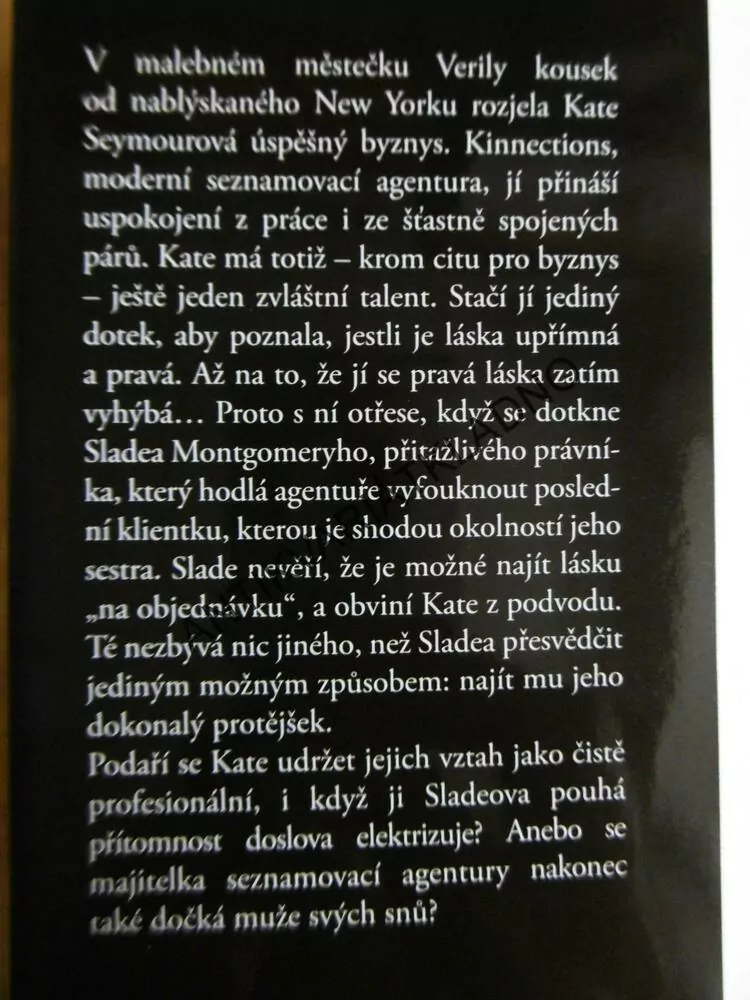 HLEDÁNÍ VYTOUŽENÉHO DNE, JENNIFER PROBSTOVÁ,