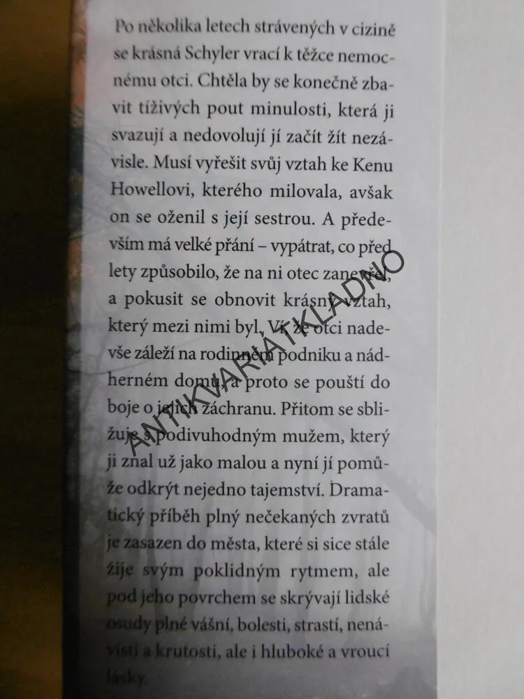V ŽÁRU LÁSKY, SANDRA BROWN, **an