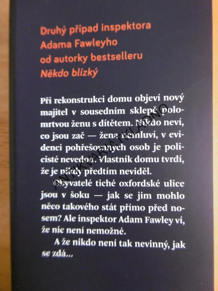V TEMNOTĚ, CARA HUNTEROVÁ, **an