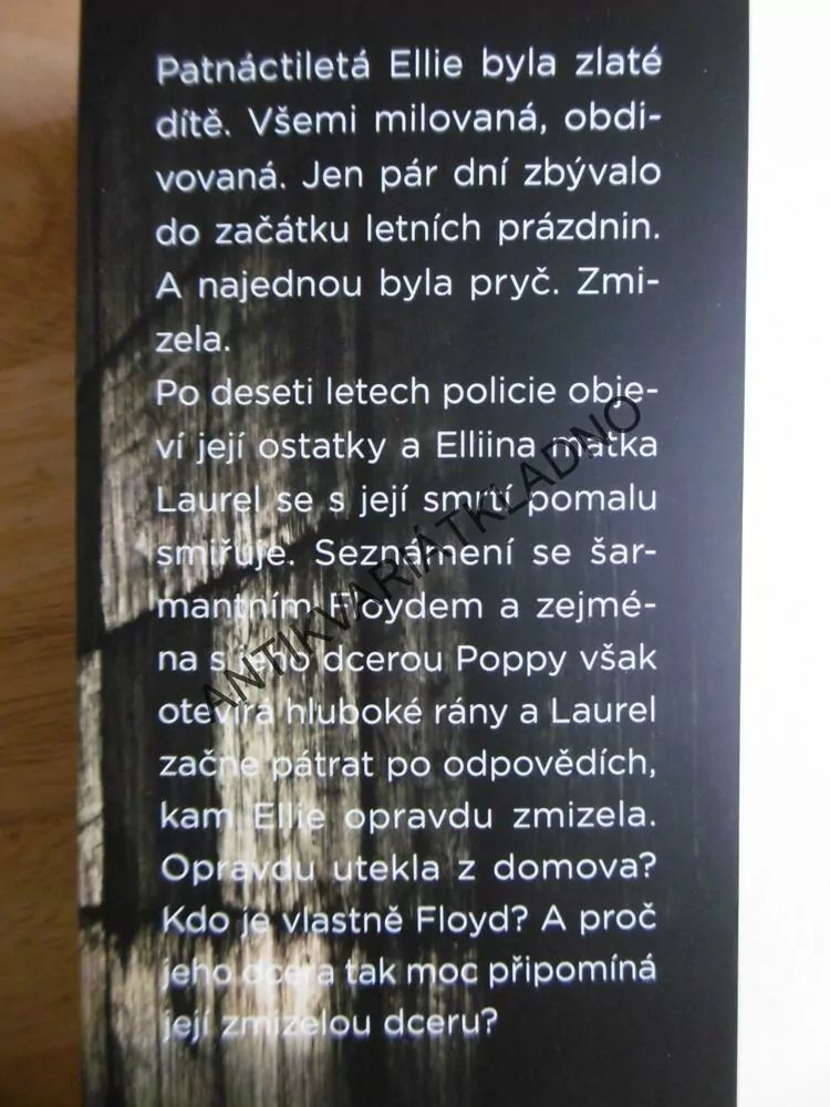 BEZE SVĚDKŮ, LISA JEWELLOVÁ, **an