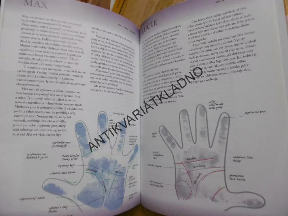 ČTENÍ Z DĚTSKÉ RUKY, ANNE HASSETT, ODHALTE NADÁNÍ A SCHOPNOSTI SVÉHO DÍTĚTE