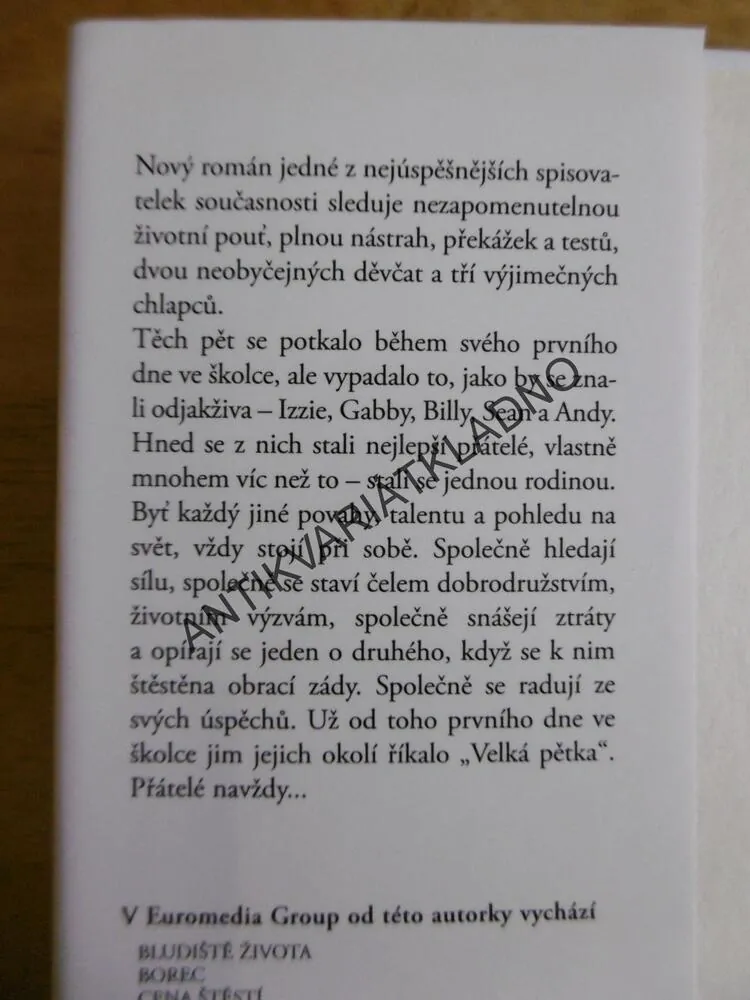 PŘÁTELÉ NAVŽDY, DANIELLE STEEL